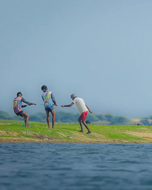 Flock of birds at Pulicat Lake lagoon.