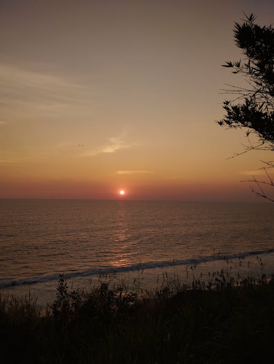 Varkala is a scenic coastal town in Kerala known for its cliffs overlooking the Arabian Sea, pristine beaches, and natural springs.