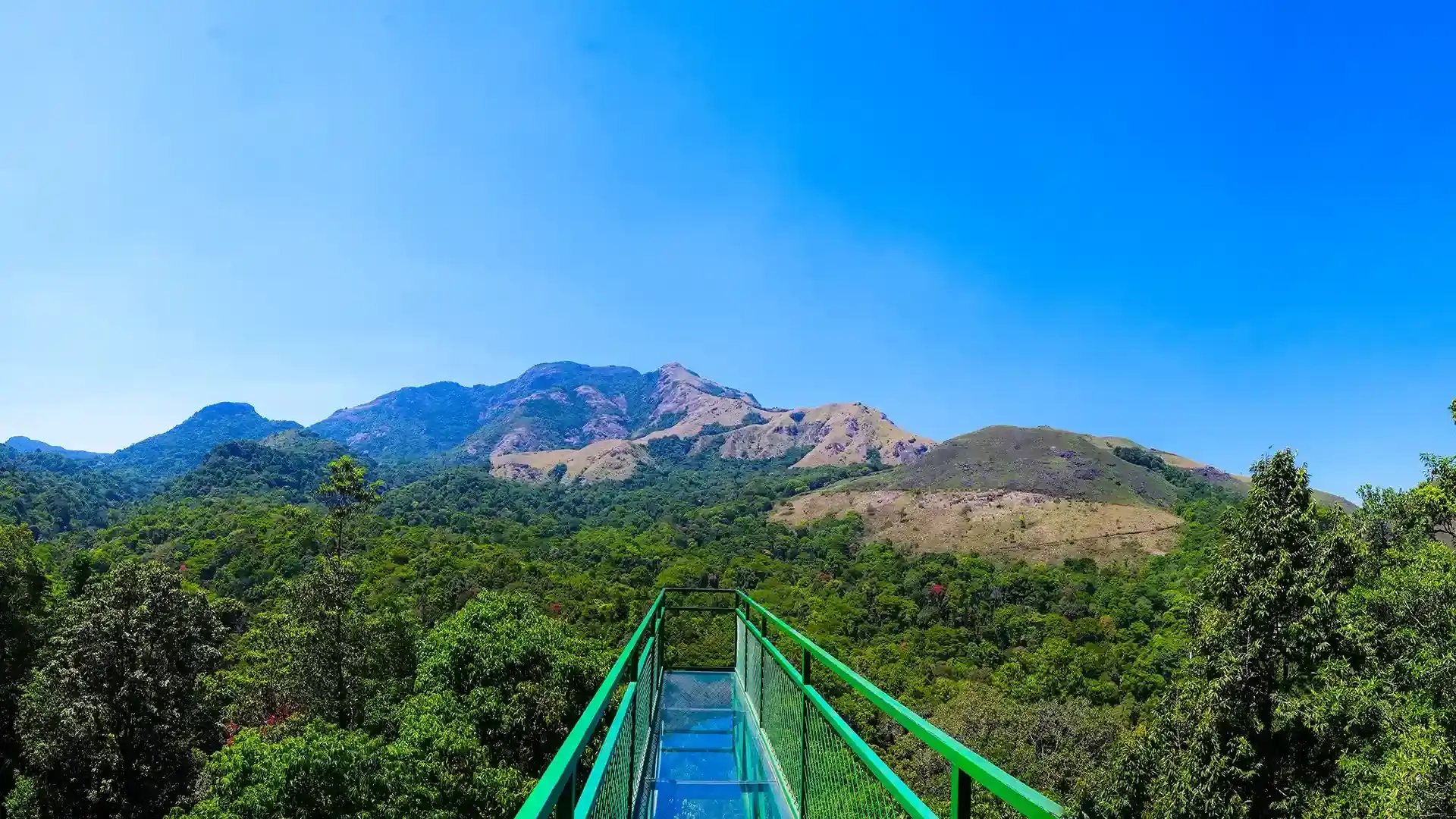 Wayanad is a serene hill district in Kerala, known for its lush forests, waterfalls, wildlife, and ancient caves.