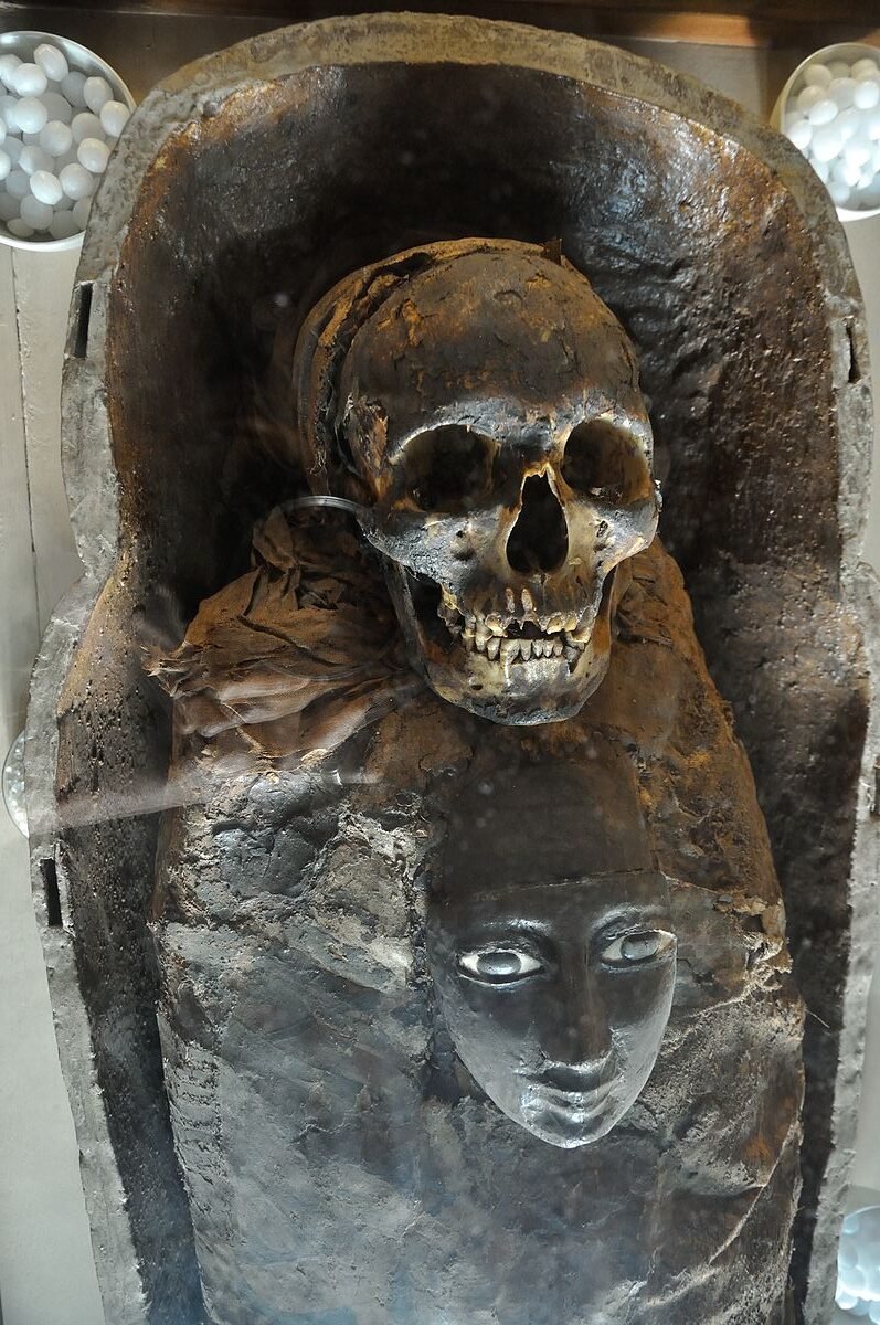 Egyptian Mummy