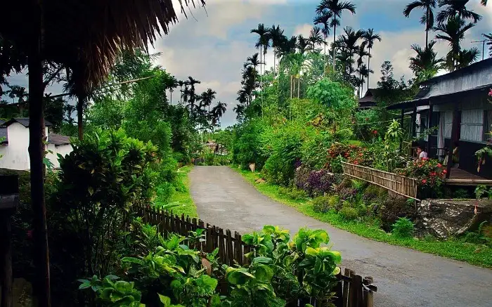 Known as “Asia’s Cleanest Village” with flower paths and bamboo skywalks. Famous for sustainable living and root bridges.