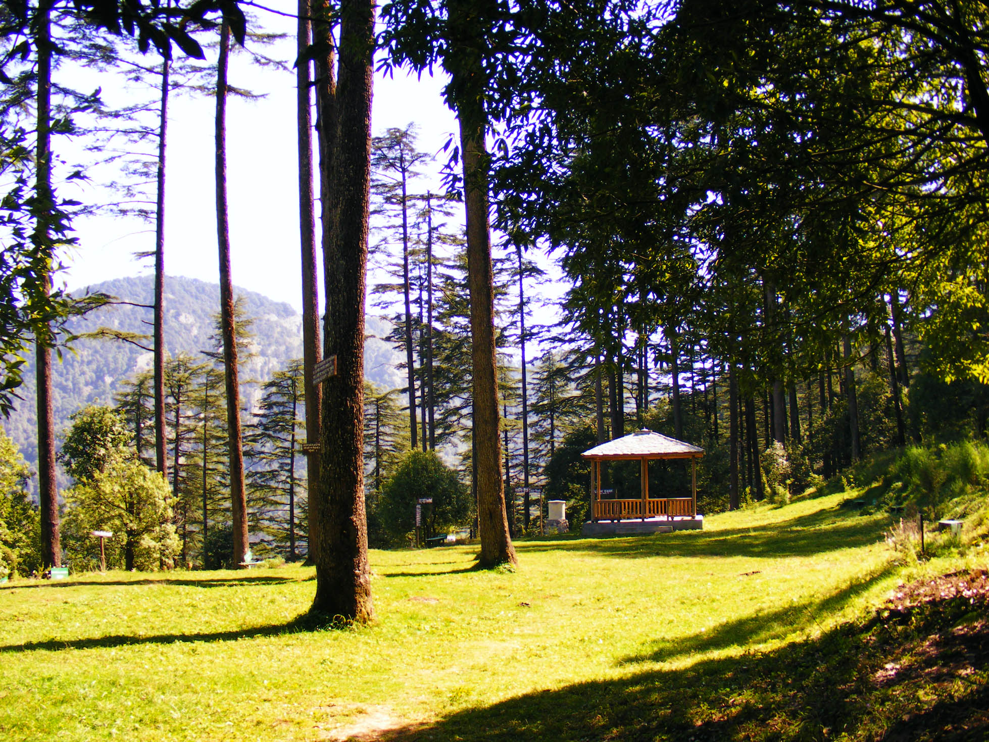 Dhanaulti is one of the serene places to visit in Uttarakhand for a quiet getaway.