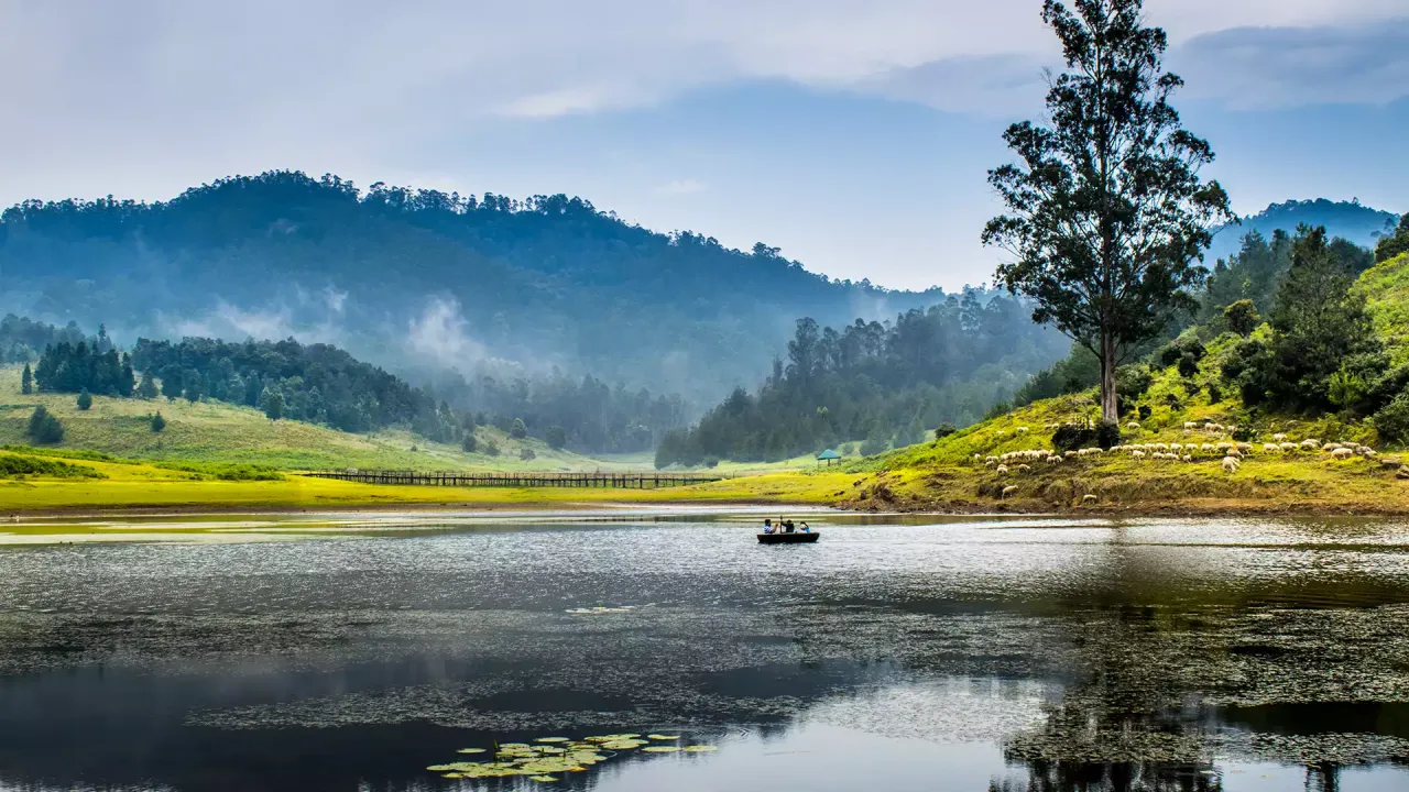 Known for its cool climate, Kodai Lake, and pine forests—perfect for a serene getaway.