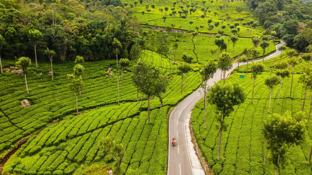 A quiet hill station near Ooty, with tea estates and pleasant climate.