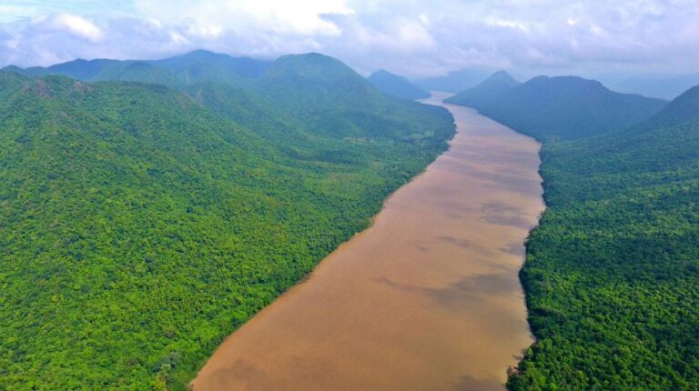 A dramatic gorge on the Mahanadi, known for its lush forest, boating, and diverse wildlife including crocodiles.