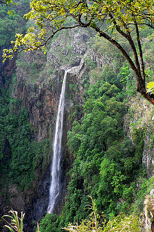 A biosphere reserve rich in wildlife, waterfalls, and forest trails—home to tigers, elephants, and rare orchids.