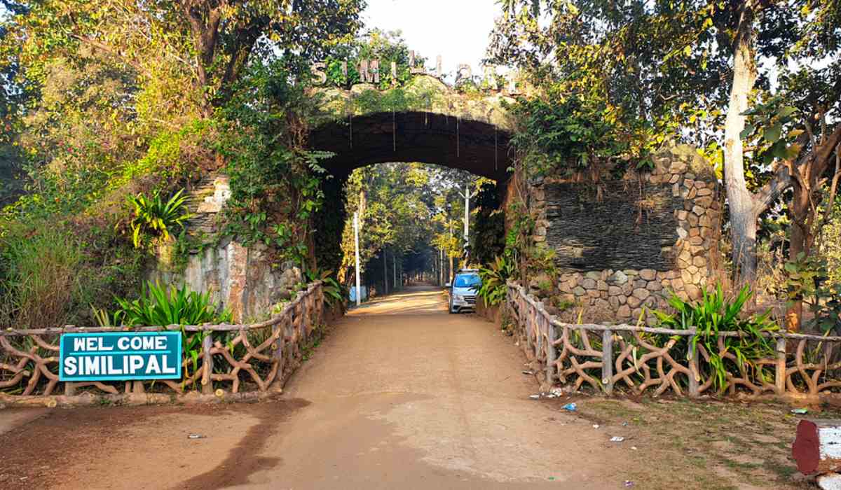 A tiger reserve and biosphere hotspot with waterfalls and dense forests, Rajasthan