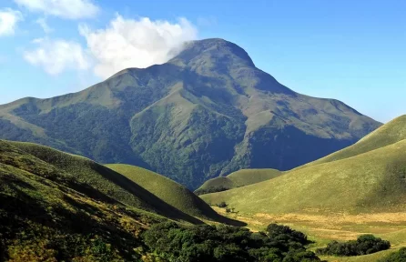 Trekking trail to Anamudi Peak – adventurous places to visit in Munnar for hikers