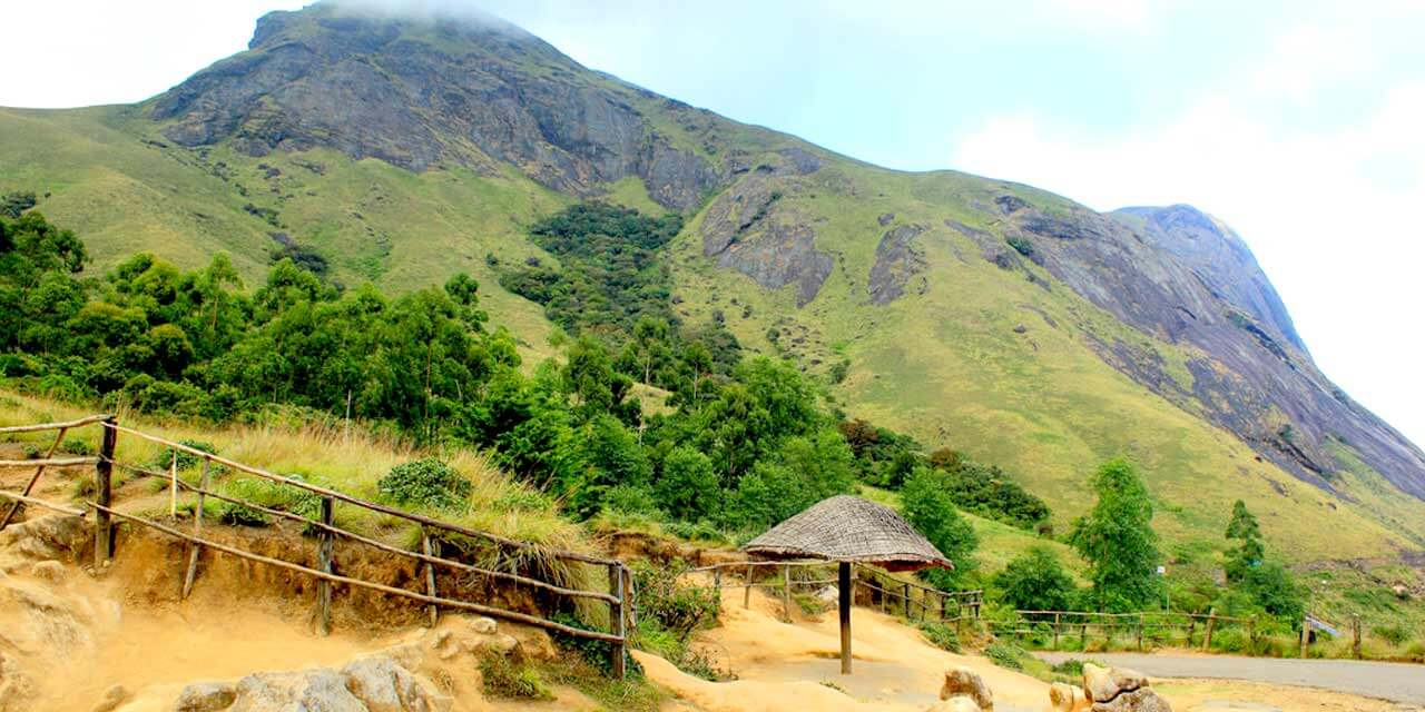 Trekking to Anamudi, the highest peak near Munnar.