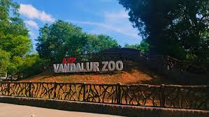 Exotic animals at Arignar Anna Zoological Park, a wildlife place to visit in Chennai. Exotic animals at Arignar Anna Zoological Park, a wildlife place to visit in Chennai.