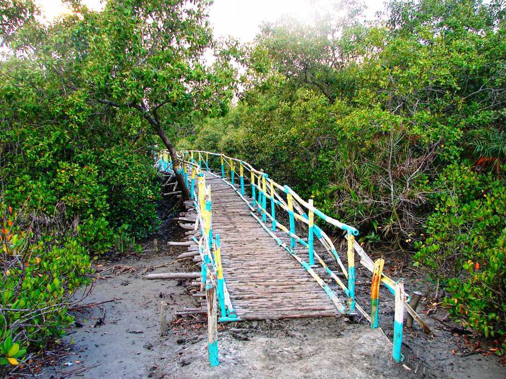 Golden sandy shores of Bakkhali, one of the most serene beach places to visit near Kolkata with calm waves