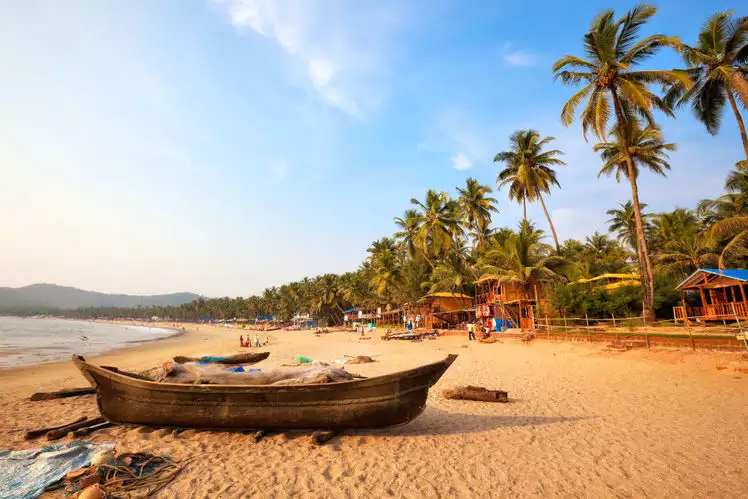 Golden sandy beaches of Goa - from vibrant party shores at Baga to tranquil palm-fringed coves like Palolem.