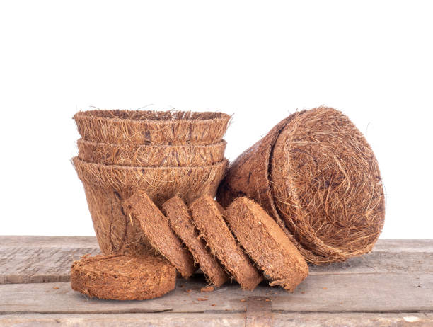 Eco-friendly coir products like mats and baskets, handmade in Kochi.