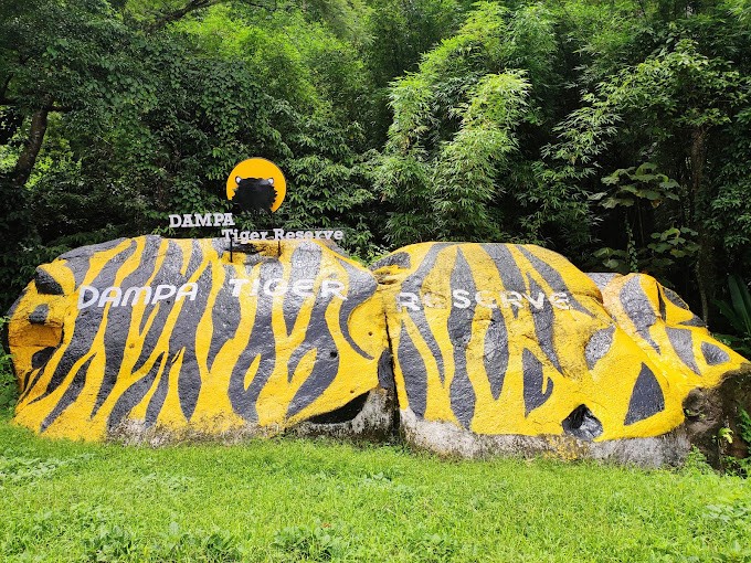 Dense jungle trails in Dampa Tiger Reserve, wildlife-focused place to visit near Aizawl