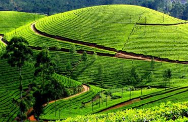 Darjeeling Kanchenjunga view – must-visit hill station in West Bengal