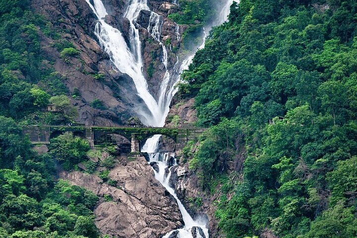 Majestic Dudhsagar Falls in Goa - a spectacular 4-tiered cascade plunging through dense monsoon forests.