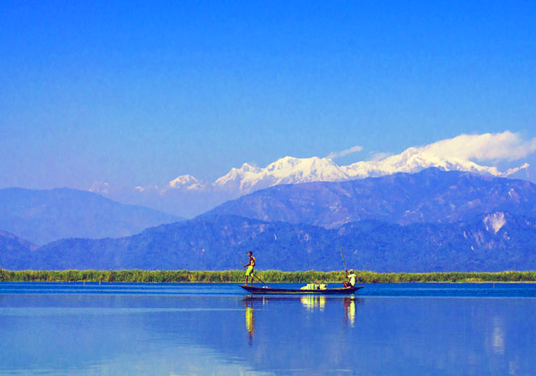 Migratory birds at Teesta Barrage in Gajoldoba – birdwatching spot in West Bengal