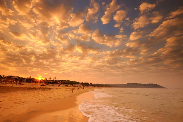 Candolim Beach in North Goa – A serene stretch of golden sand lined with palm trees, beach shacks, and calm waters, perfect for sunset views and water sports.