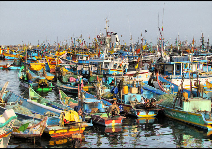 Bustling Kasimedu Fishing Harbour, a cultural place to visit in Chennai.