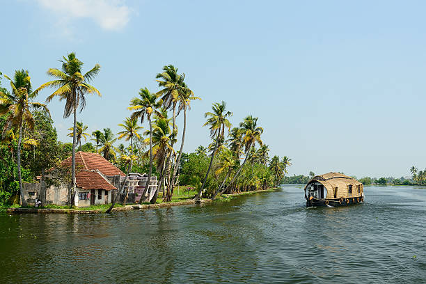 Scenic houseboats gliding through Kumarakom’s tranquil backwaters, a serene escape near Kerala.