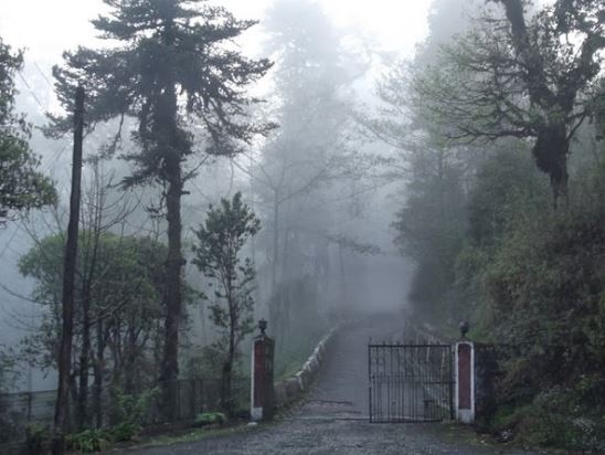 Pine forests and mountain views in Lepchajagat – hidden gem near Darjeeling