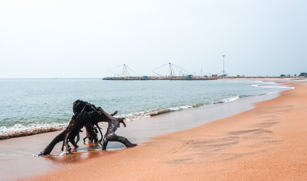 Munambam Beach with fishing harbor - a quiet place to visit near Kochi for scenic Arabian Sea views