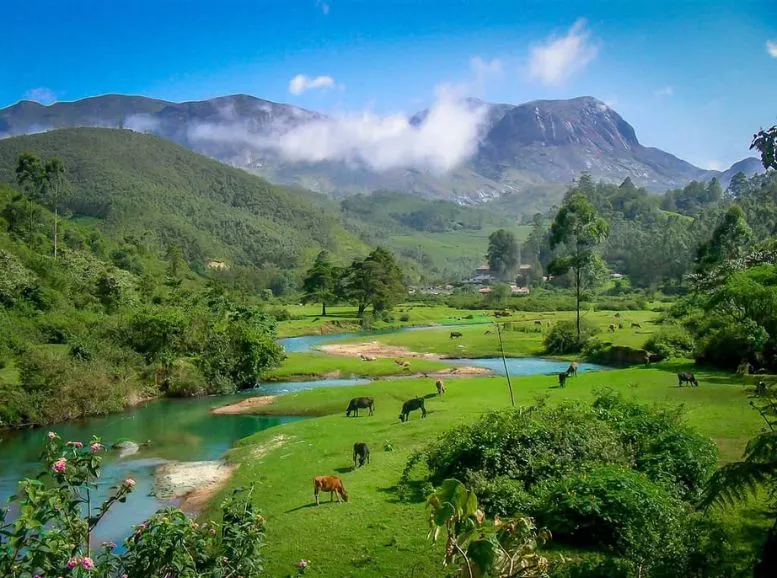 Rolling mountain landscapes of Munnar.