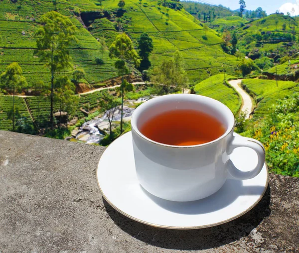 Freshly plucked tea leaves from Munnar’s estates