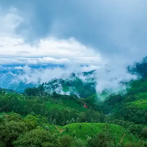 Sunrise over tea gardens from Pothamedu – offbeat places to visit in Munnar for photographers