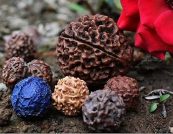 Shop sacred Rudraksha Malas in Rishikesh, cherished spiritual beads.