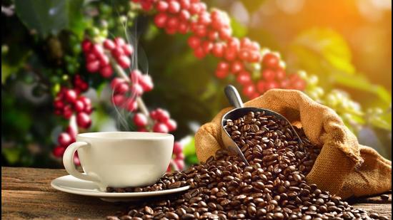 Aromatic spiced coffee from Munnar’s plantations.