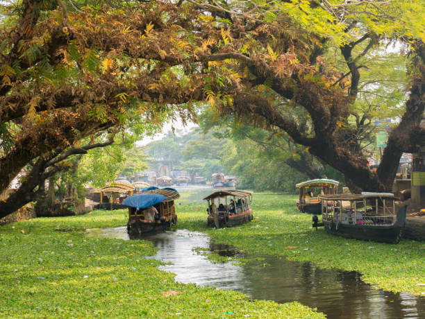 Relaxing sunset backwater cruise on a traditional Kerala houseboat in Kochi.