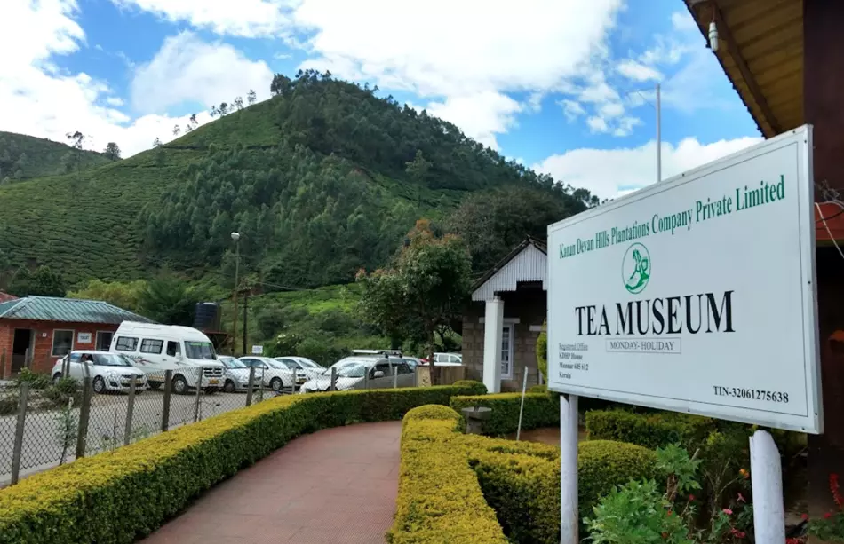 Vast tea plantations and museums showcasing Munnar’s rich tea heritage.