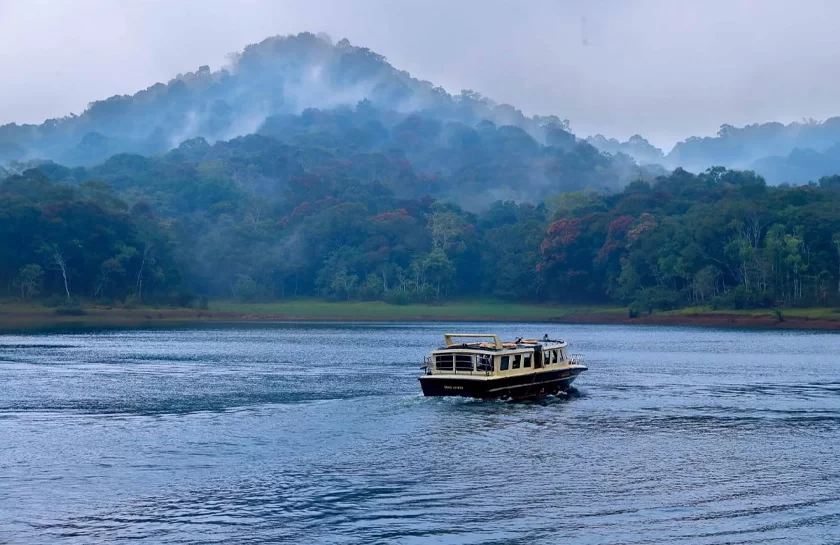 Boat safari in Thekkady – best places to visit near Munnar for tiger spotting