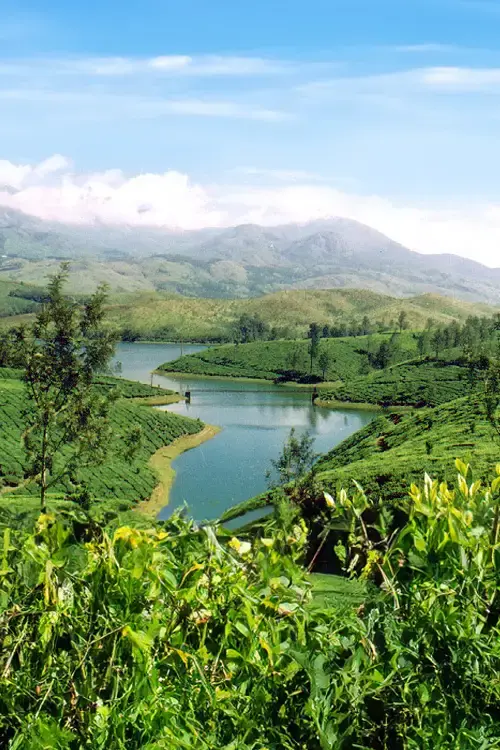 Panoramic valley view from Top Station – must-see places to visit in Munnar for sunrise