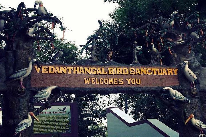 Birdwatching destination near places to visit in Chennai – Vedanthangal Bird Sanctuary.