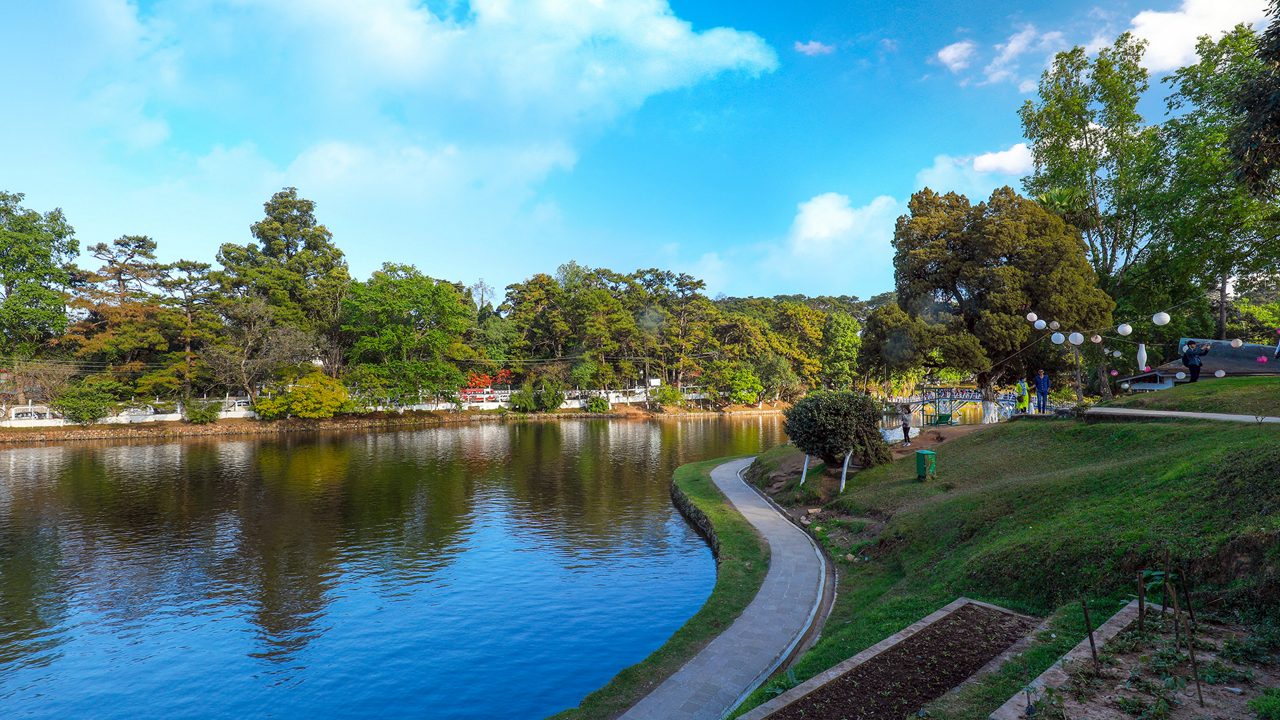 Tranquil view of Ward’s Lake in central Shillong.