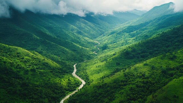 Scenic Araku Valley, among the best places to visit in Andhra Pradesh for coffee plantations and lush hills.