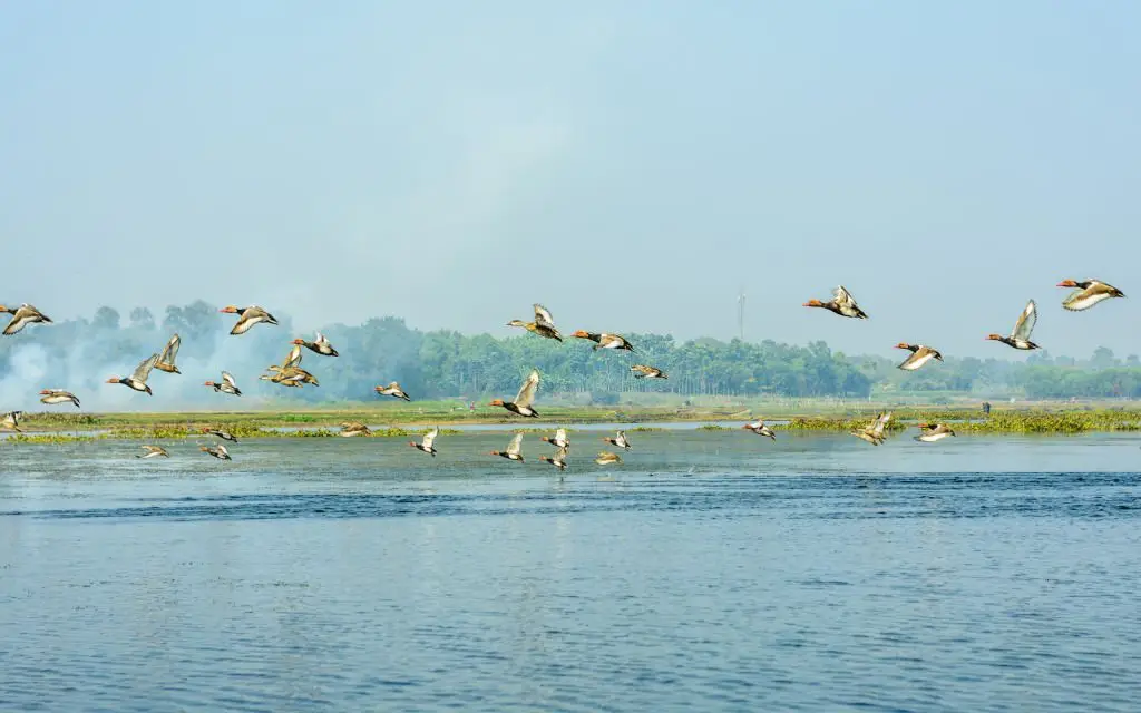 Peaceful lake with stilted huts among places to visit near Puducherry