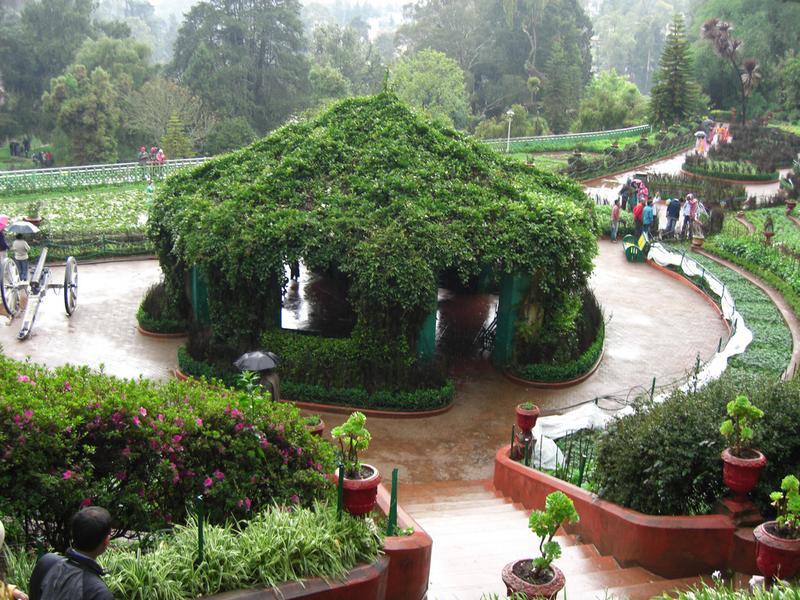 Lush greenery and exotic plants at Puducherry Botanical Garden