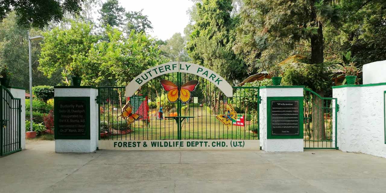 Butterfly Park in Chandigarh with colorful butterflies in natural surroundings