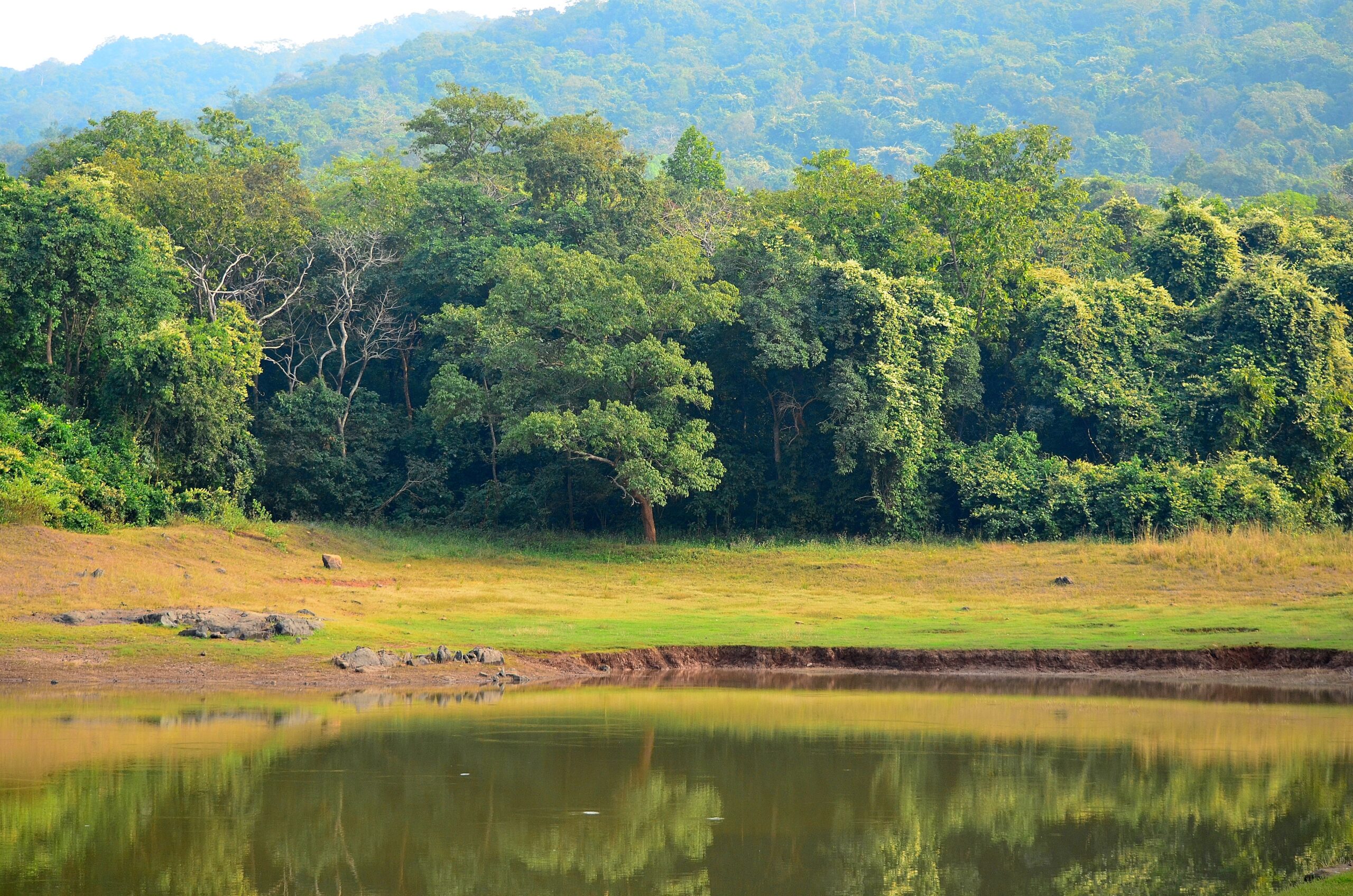 Dalma Wildlife Sanctuary in Jharkhand is home to elephants and rare species.