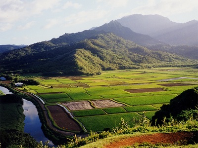 Karbi tribal villages and orange orchards