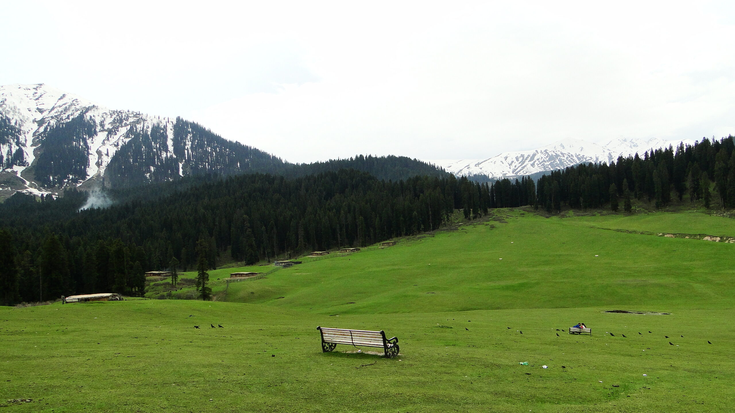 Rolling green pastures of Doodhpathri, Jammu and Kashmir