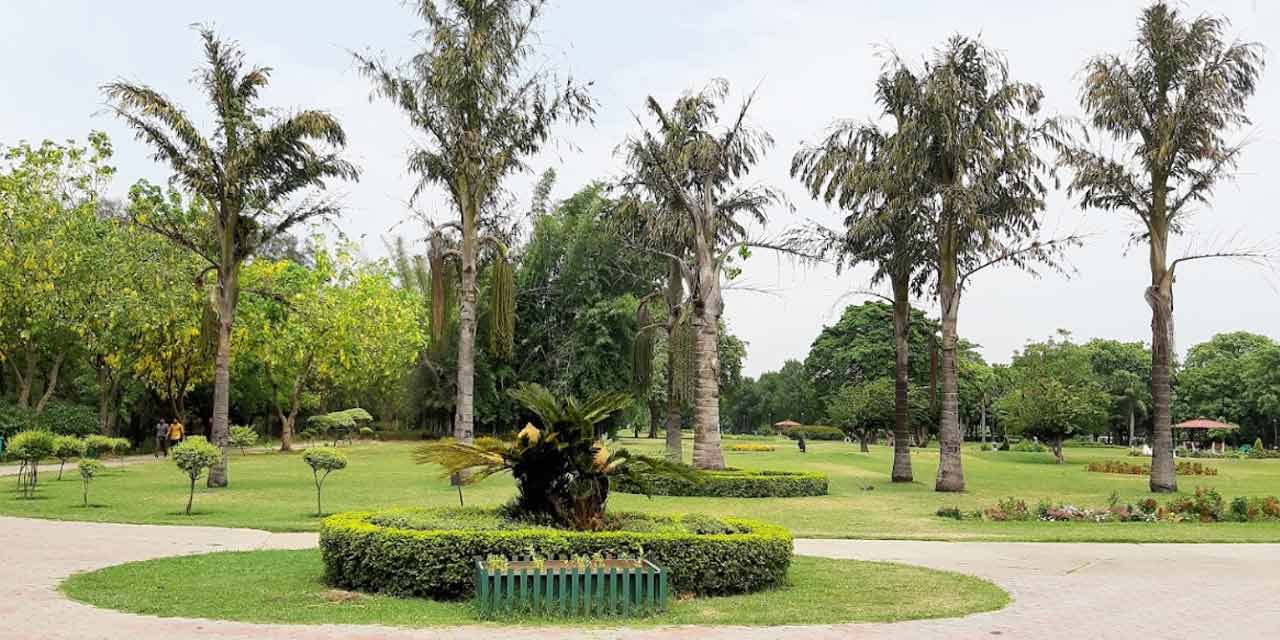 Garden of Fragrance in Chandigarh blooming with aromatic flowers and herbs