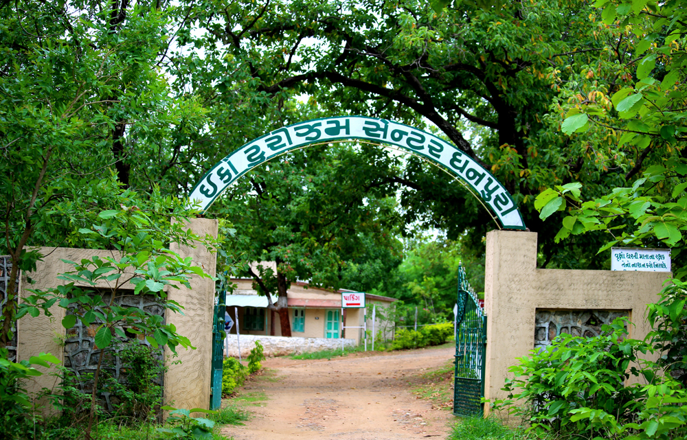 Dense forest landscapes of Jambughoda Sanctuary in Gujarat