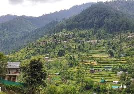 River valley cottages and lush forests at Jibhi, Himachal Pradesh