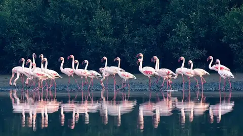 Birdwatching paradise among natural places to visit near Puducherry