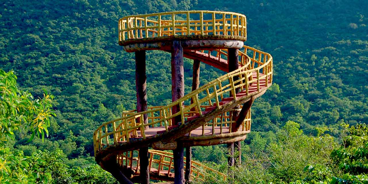 Kambalakonda Wildlife Sanctuary, a nature retreat near Visakhapatnam.
