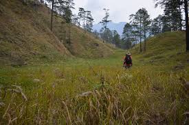 Lohit Valley in Arunachal Pradesh is an untouched landscape of rivers and forests.